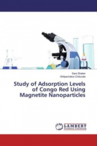 Study of Adsorption Levels of Congo Red Using Magnetite Nanoparticles