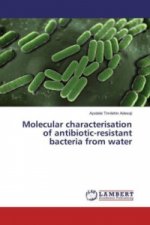 Molecular characterisation of antibiotic-resistant bacteria from water