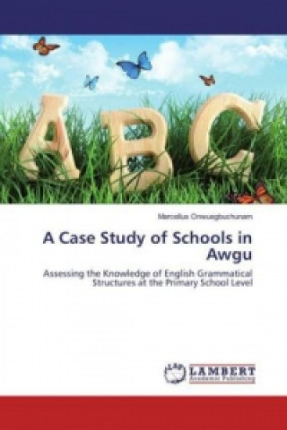 A Case Study of Schools in Awgu