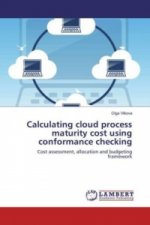 Calculating cloud process maturity cost using conformance checking