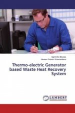 Thermo-electric Generator based Waste Heat Recovery System