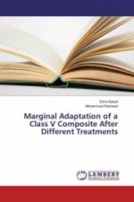 Marginal Adaptation of a Class V Composite After Different Treatments