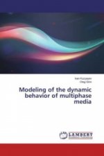 Modeling of the dynamic behavior of multiphase media