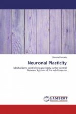 Neuronal Plasticity