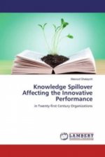 Knowledge Spillover Affecting the Innovative Performance