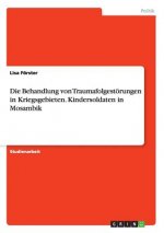 Behandlung von Traumafolgestoerungen in Kriegsgebieten. Kindersoldaten in Mosambik