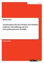 Atombomben fur den Frieden? Der Einfluss nuklearer Bewaffnung auf den indo-pakistanischen Konflikt
