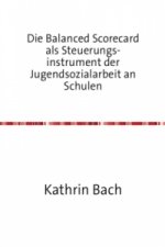 Die Balanced Scorecard als Steuerungsinstrument der Jugendsozialarbeit an Schulen