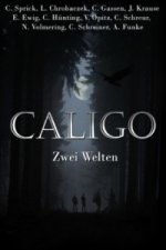 Caligo