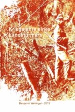 Kriegsjahre eines Landstürmers
