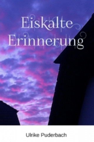 Hannover-Krimis / Eiskalte Erinnerung