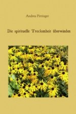 Die spirituelle Trockenheit überwinden