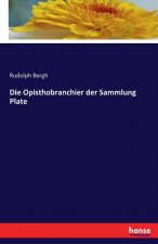 Opisthobranchier der Sammlung Plate