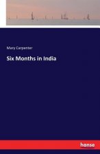 Six Months in India