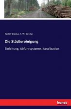 Stadtereinigung