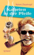 Kalorien in der Pfeife
