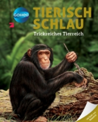 Galileo Wissen: Tierisch schlau