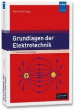 Grundlagen der Elektrotechnik, m. CD-ROM