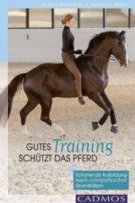 Gutes Training schützt das Pferd