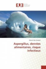 Aspergillus, denrées alimentaires, risque infectieux