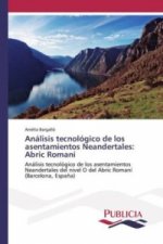 Análisis tecnológico de los asentamientos Neandertales: Abric Romaní