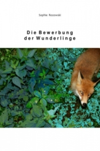 Die Bewerbung der Wunderlinge