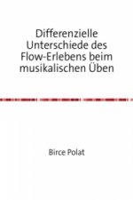 Differenzielle Unterschiede des Flow-Erlebens beim musikalischen Üben