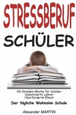 Stressberuf Schüler