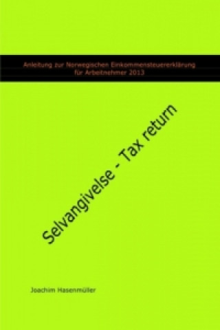 Anleitung zur Norwegischen Einkommensteuererklärung für Arbeitnehmer 2013