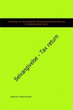 Anleitung zur Norwegischen Einkommensteuererklärung für Arbeitnehmer 2013