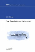 Flow Experience on the Internet