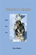 Straßenhunde in Macantao