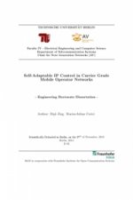 Self-Adaptable IP Control in Carrier Grade Mobile Operator Networks
