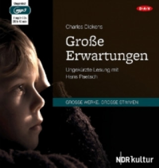 Große Erwartungen, 2 Audio-CD, 2 MP3