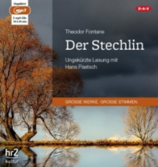 Unterhaltungen deutscher Ausgewanderten, 1 Audio-CD, 1 MP3