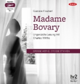 Madame Bovary, 2 Audio-CD, 2 MP3