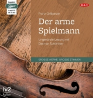 Der arme Spielmann, 1 Audio-CD, 1 MP3