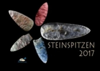 Steinspitzen 2017