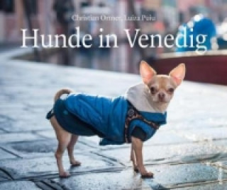 Die Hunde von Venedig
