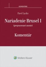 Nariadenie Brusel I Komentár