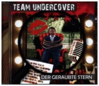 Team Undercover - Der geraubte Stern, 1 Audio-CD