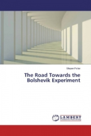 The Road Towards the Bolshevik Experiment