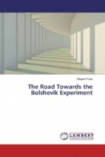 The Road Towards the Bolshevik Experiment