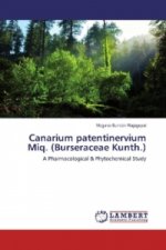 Canarium patentinervium Miq. (Burseraceae Kunth.)