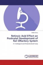 Retinoic Acid Effect on Postnatal Development of Rat Olfactory System