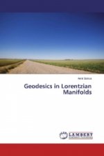 Geodesics in Lorentzian Manifolds