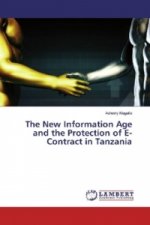 The New Information Age and the Protection of E-Contract in Tanzania