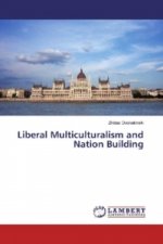 Liberal Multiculturalism and Nation Building