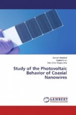 Study of the Photovoltaic Behavior of Coaxial Nanowires