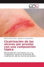 Cicatrización de las ulceras por presión con una composición tópica